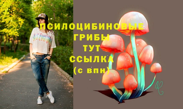 spice Волосово